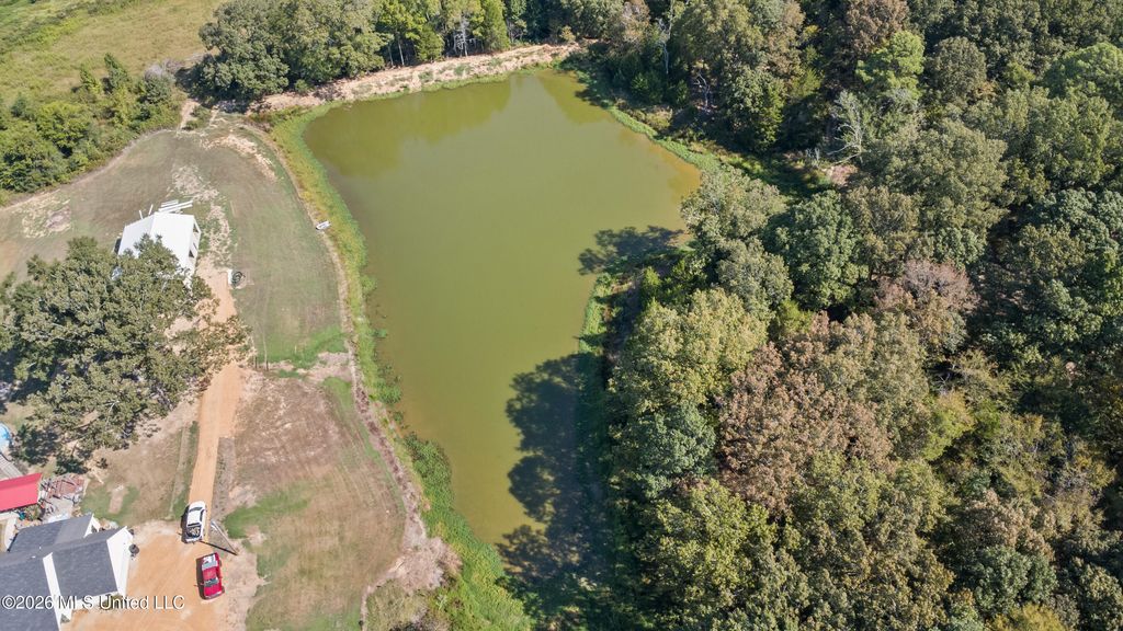 115 Cherrydale Drive, Coldwater, MS 38618 — photo 3