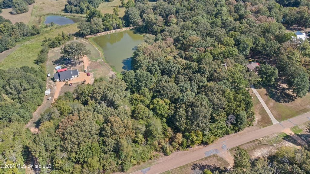 115 Cherrydale Drive, Coldwater, MS 38618 — photo 4
