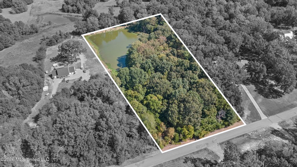 115 Cherrydale Drive, Coldwater, MS 38618 — photo 5