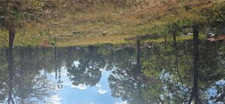 116 Red Oaks DR, Dale, TX 78616