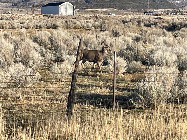 423 N 900 E, Mt Pleasant, UT 84647