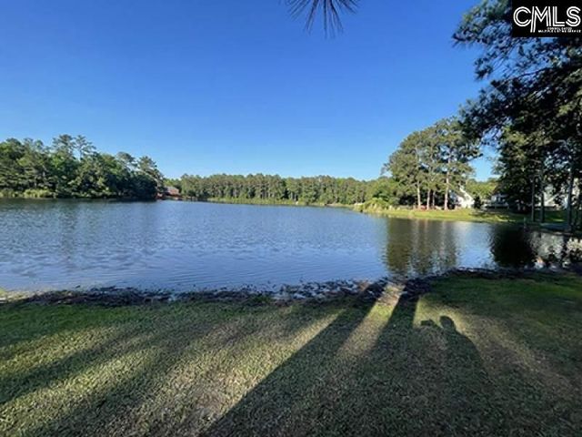 203 Pegonia Lane, Blythewood, SC 29016