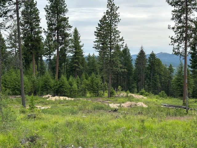 36XX Lot P Sheridan Rd, Republic, WA 99166 property photo