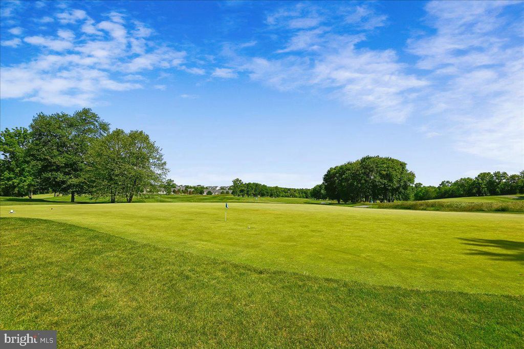 Image 38 of property listing at 11125 CHAMBERS CT #D, Woodstock, MD 21163