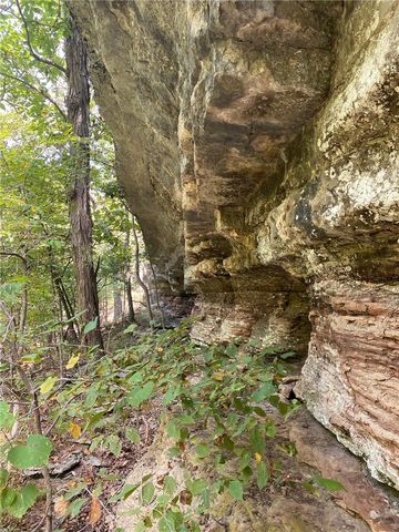148 County Road 155, Eureka Springs, AR 72632