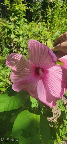 4018 Windsor Road, Boardman, OH 44512