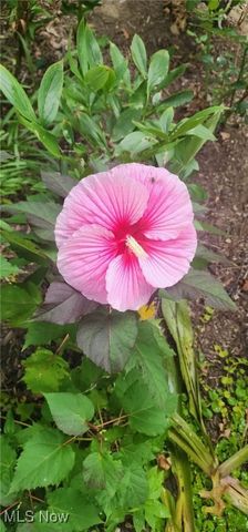 4018 Windsor Road, Boardman, OH 44512