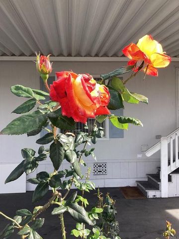 1425 2nd Avenue 116, Chula Vista, CA 91911