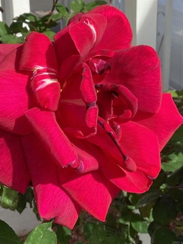 1425 2nd Avenue 116, Chula Vista, CA 91911