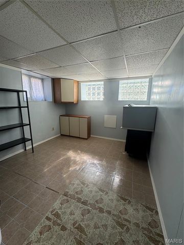 4919 Tyrolean Avenue, St Louis, MO 63109