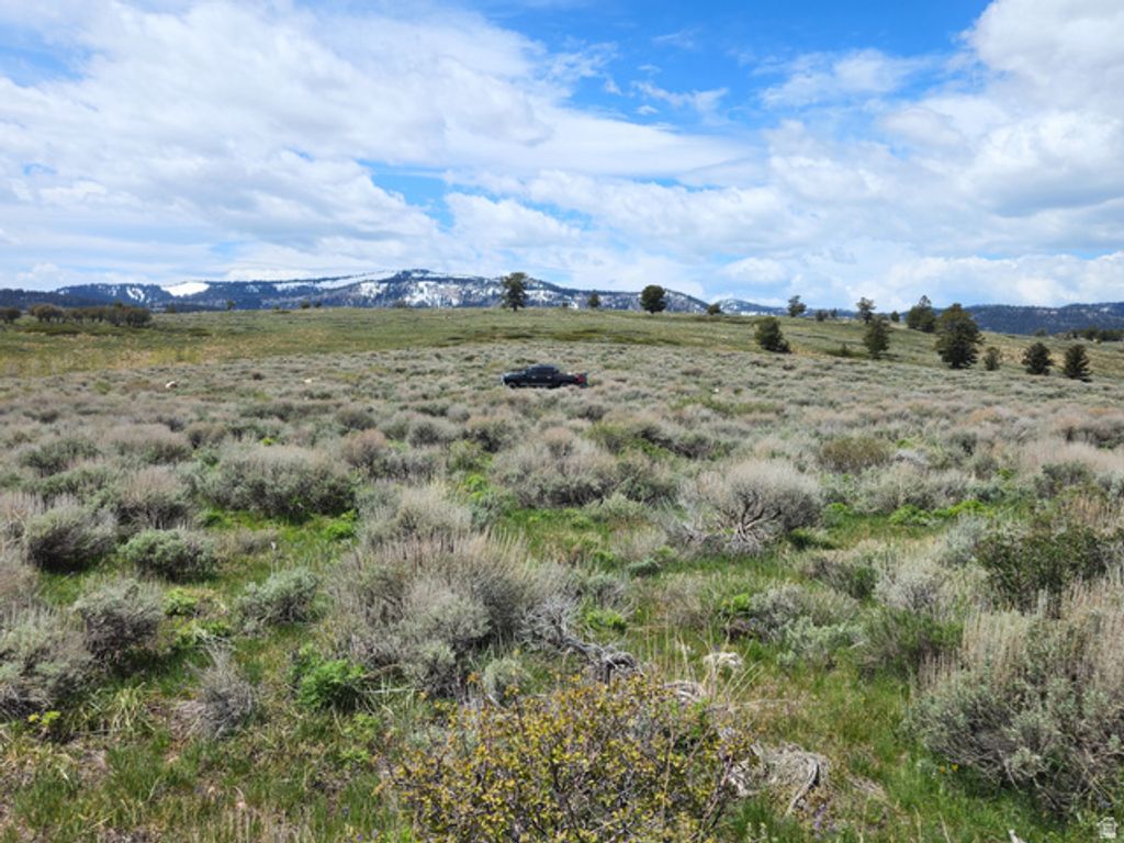 Image 3 of property listing at 1664 MILL CANYON RD, Montpelier, ID 83254