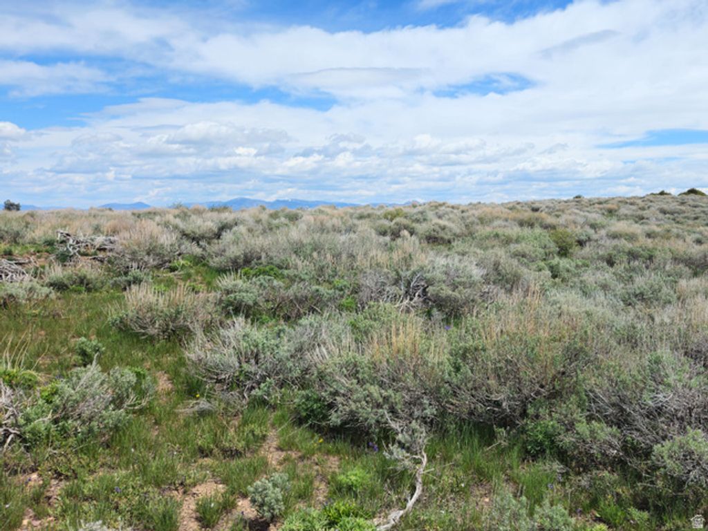 Image 4 of property listing at 1664 MILL CANYON RD, Montpelier, ID 83254