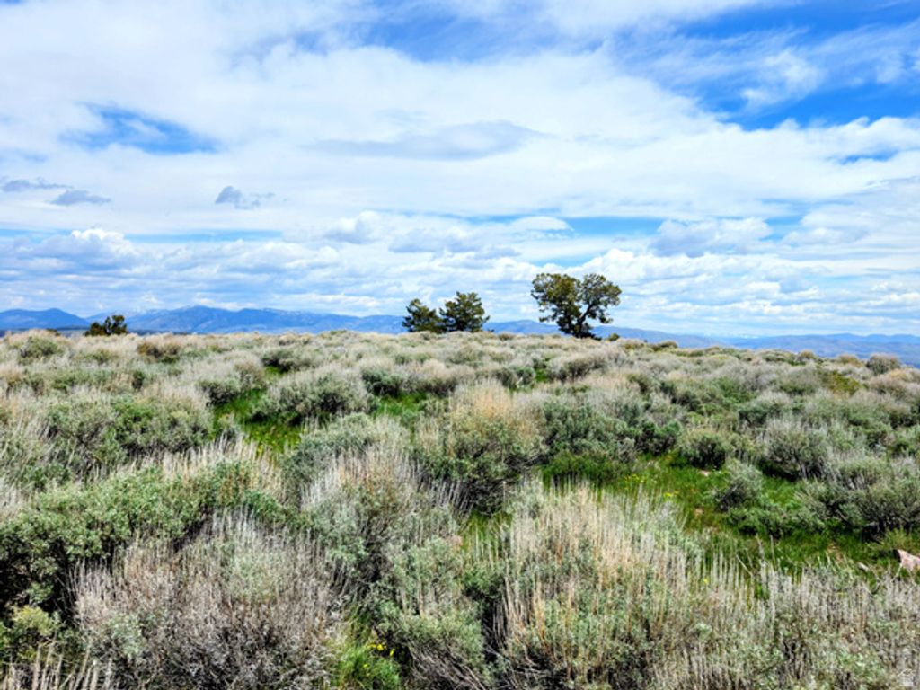 Image 5 of property listing at 1664 MILL CANYON RD, Montpelier, ID 83254