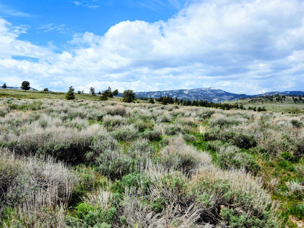 Image 8 of property listing at 1664 MILL CANYON RD, Montpelier, ID 83254