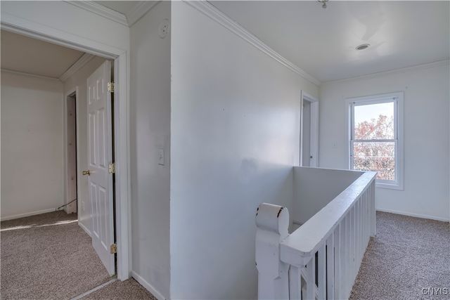 451 Portage Street, Watertown City, NY 13601