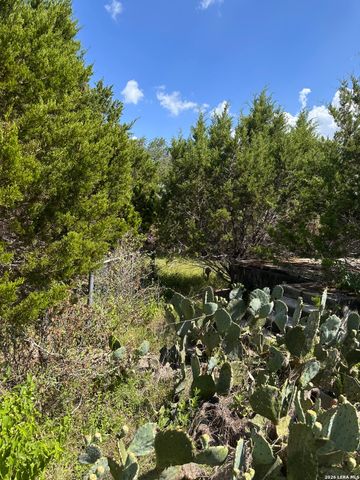 926 RAMBLING DR, Canyon Lake, TX 78133