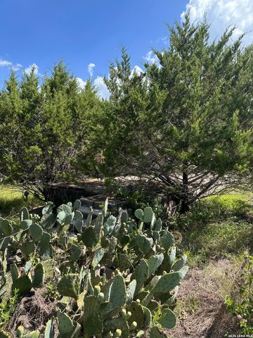 926 RAMBLING DR, Canyon Lake, TX 78133