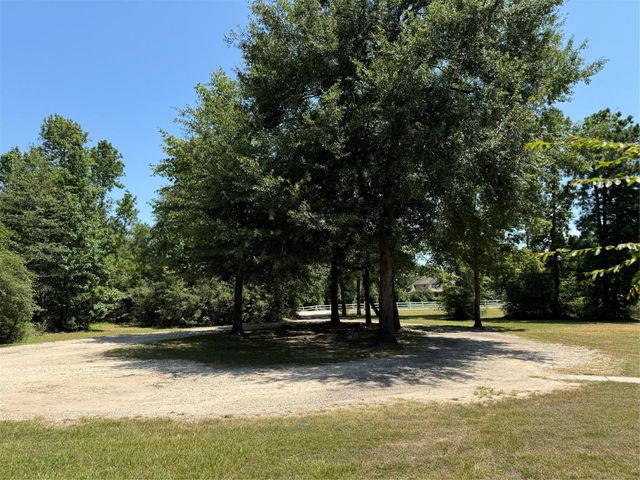427 Trace Way Drive, Montgomery, TX 77316