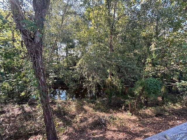 1902 45th, Northport, AL 35476