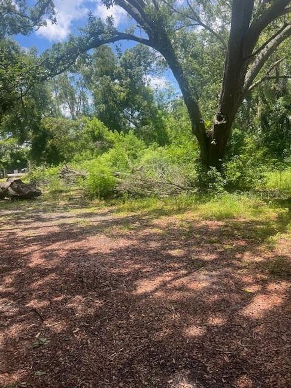 19701 LIVINGSTON AVENUE, Lutz, FL 33559