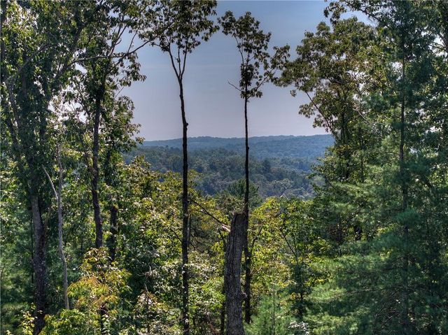 1567 Hap Holt Road, Ellijay, GA 30540