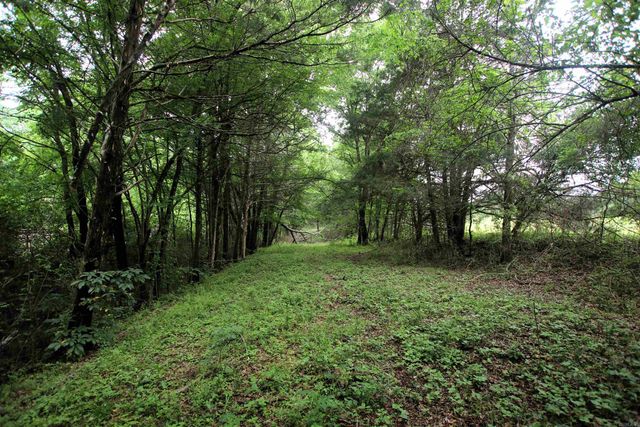 14 Ben Evans Road, Plumerville, AR 72127