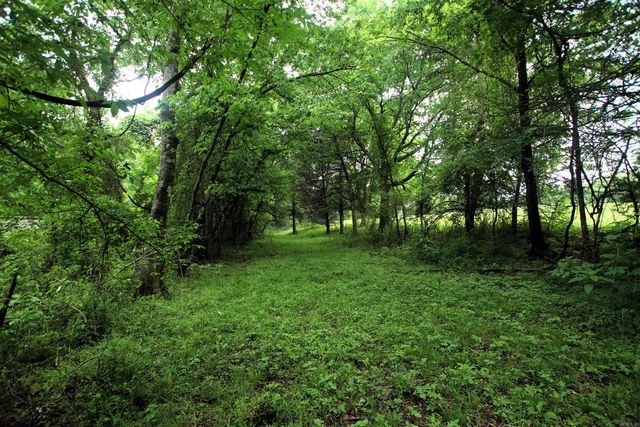 14 Ben Evans Road, Plumerville, AR 72127
