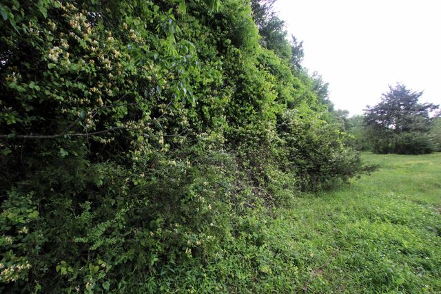 14 Ben Evans Road, Plumerville, AR 72127