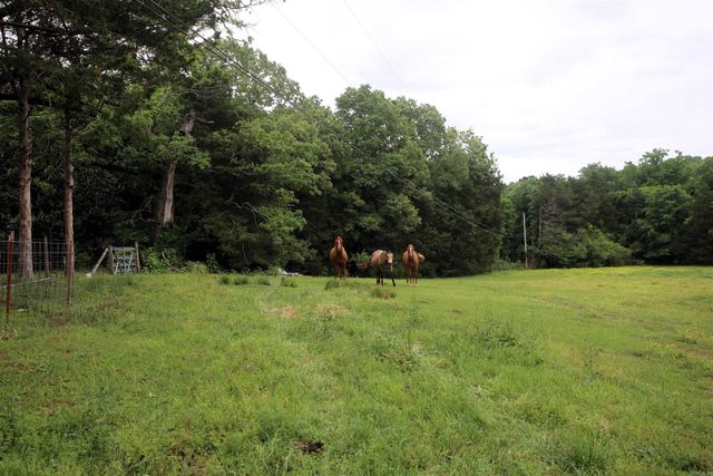 14 Ben Evans Road, Plumerville, AR 72127