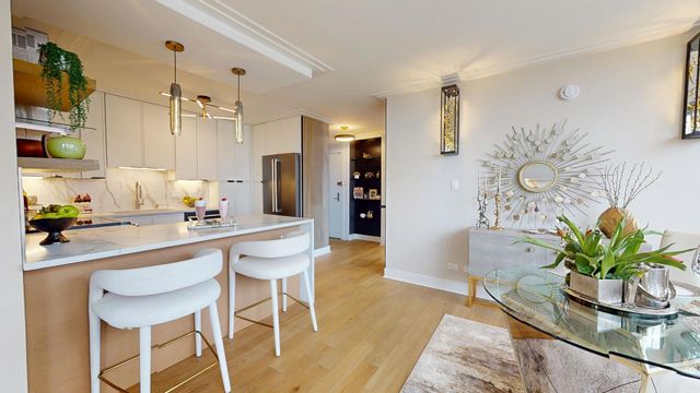 336 W Wellington Avenue 1104, Chicago, IL 60657