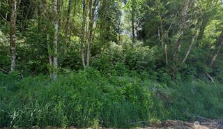 8 Minkler Road, Montesano, WA 98563