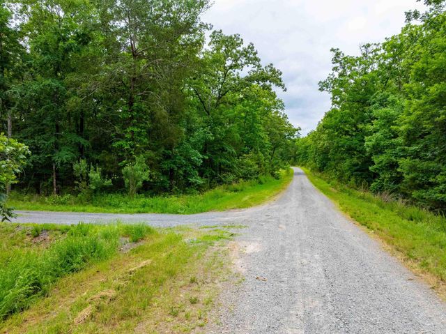 2973 Burnt Ridge Road, Shirley, AR 72153