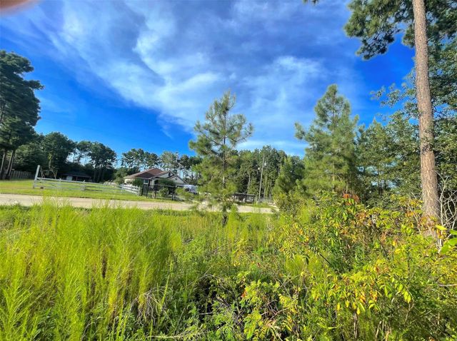 124 County Road 3546, Cleveland, TX 77327