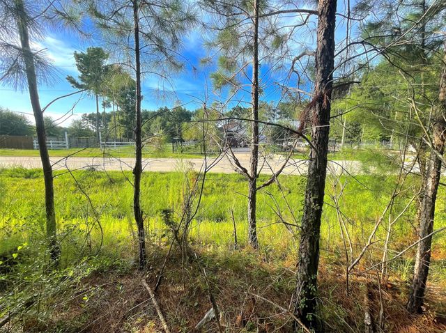 124 County Road 3546, Cleveland, TX 77327