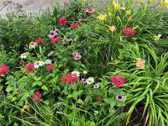 9832 East Holland Road, Holland, NY 14080