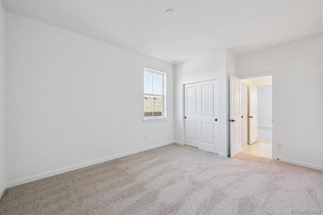 3801 Emerald Shore Circle, Loveland, CO 80538