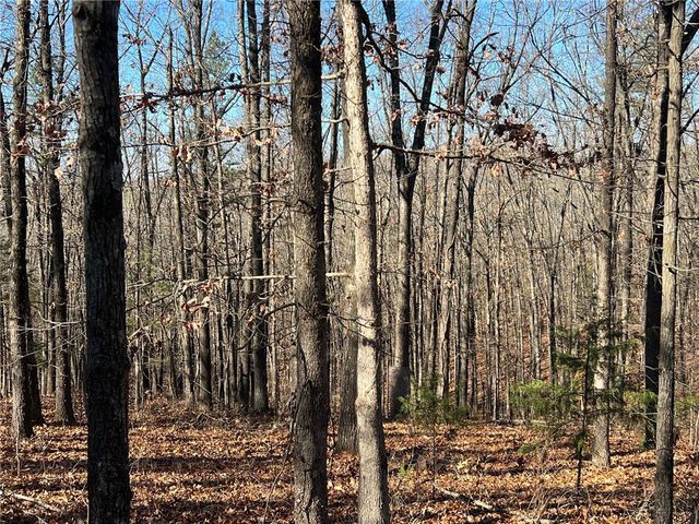 14159 New Hope Road, Omaha, AR 72662