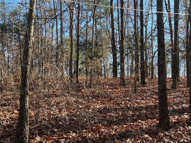 14159 New Hope Road, Omaha, AR 72662