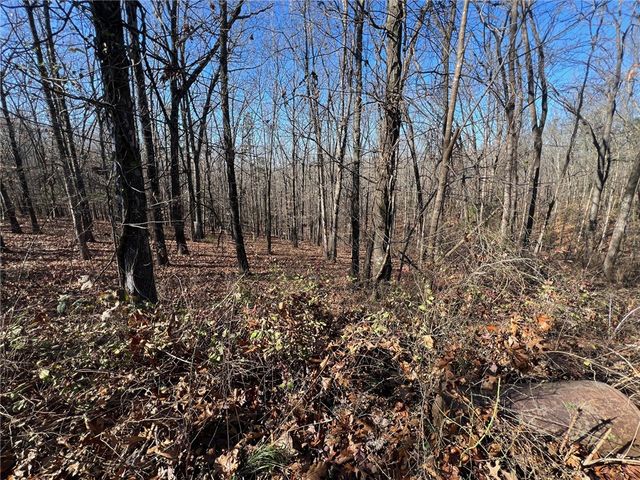 14159 New Hope Road, Omaha, AR 72662