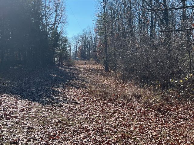 14159 New Hope Road, Omaha, AR 72662