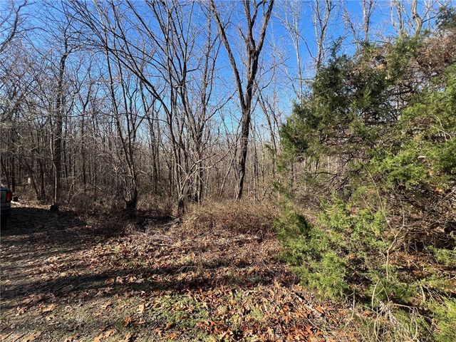 14159 New Hope Road, Omaha, AR 72662