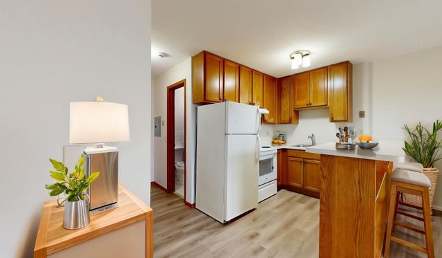 2216 Pleasant Avenue 205, Minneapolis, MN 55404