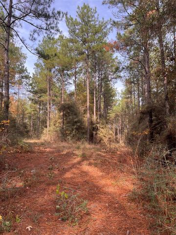 1432 Fm 1745 S, Chester, TX 75936