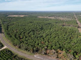 1432 Fm 1745 S, Chester, TX 75936