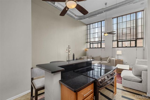 1720 Chouteau Avenue 102, St Louis, MO 63103