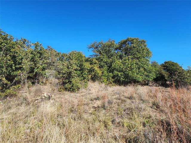 18798 County Road 441, Cross Plains, TX 76443