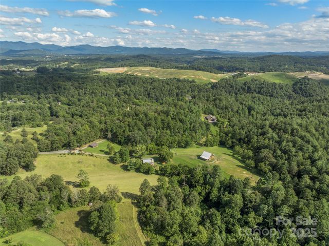 298 Lone Pine Road, Alexander, NC 28701