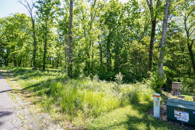 500 Maury Ln, Smithville, TN 37166