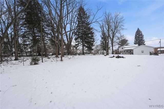 151 Mckinstry Street, Albion, NY 14411