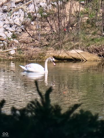 10590 Geist View Drive, Fishers, IN 46055